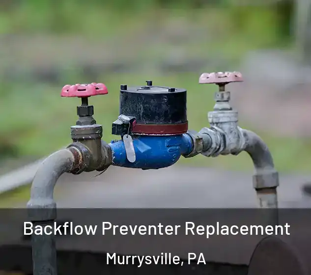  Backflow Preventer Replacement Murrysville, PA