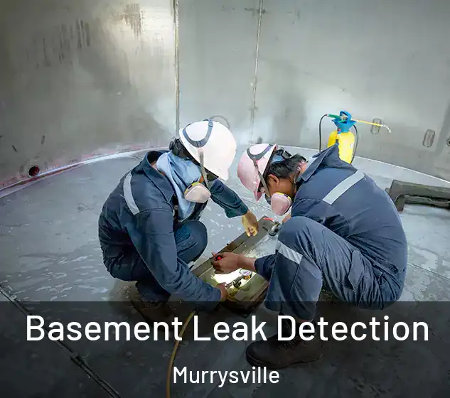  Basement Leak Detection Murrysville