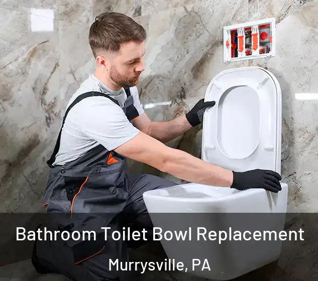  Bathroom Toilet Bowl Replacement Murrysville, PA