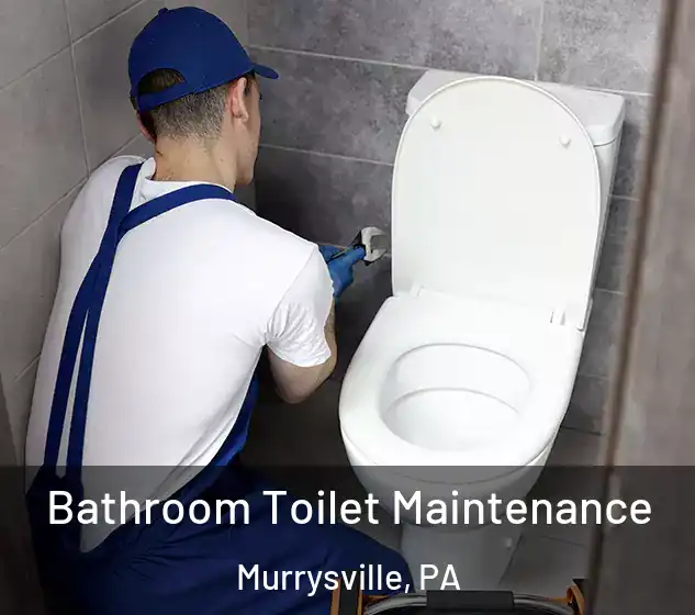  Bathroom Toilet Maintenance Murrysville, PA