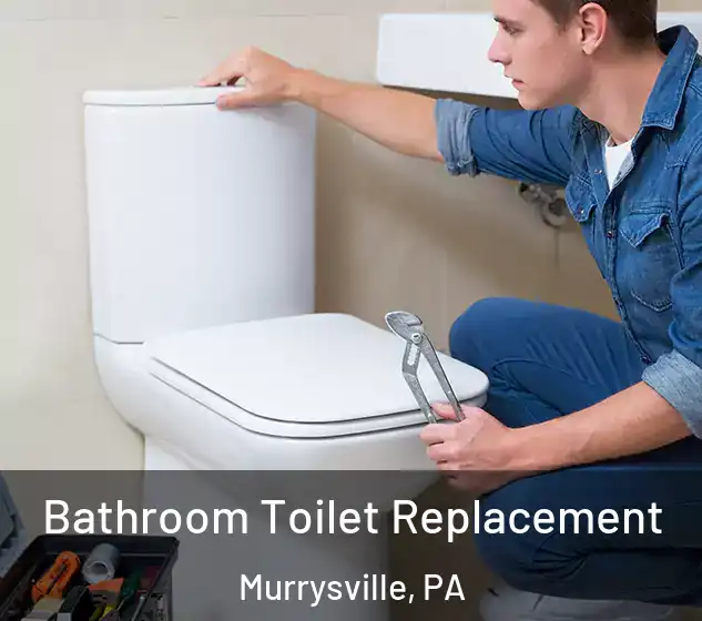  Bathroom Toilet Replacement Murrysville, PA