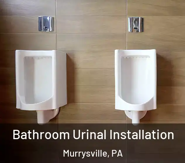  Bathroom Urinal Installation Murrysville, PA