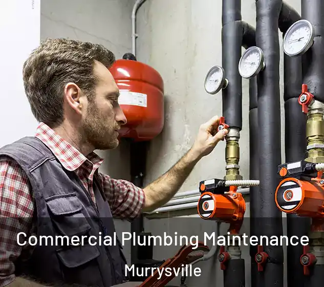 Commercial Plumbing Maintenance Murrysville