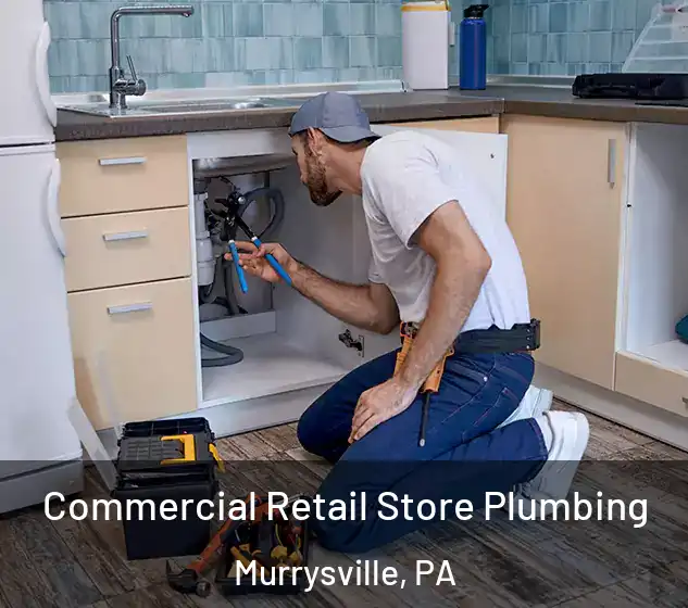  Commercial Retail Store Plumbing Murrysville, PA