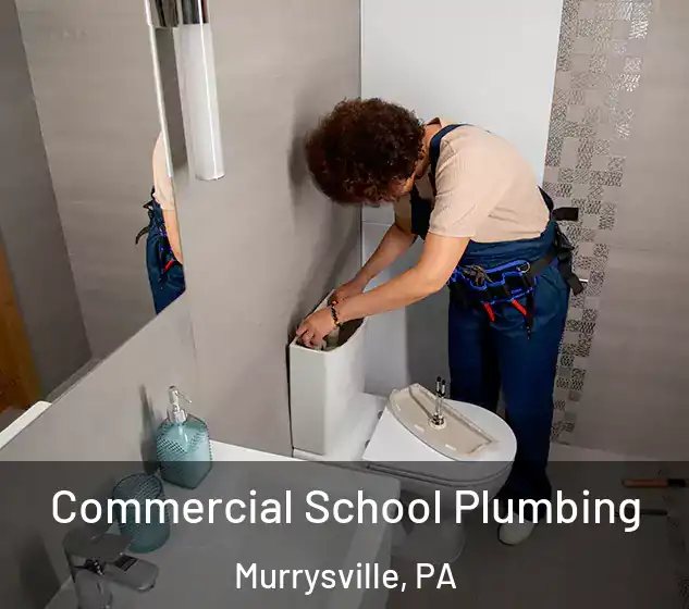  Commercial School Plumbing Murrysville, PA