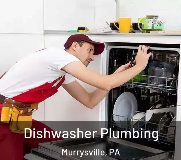  Dishwasher Plumbing Murrysville, PA