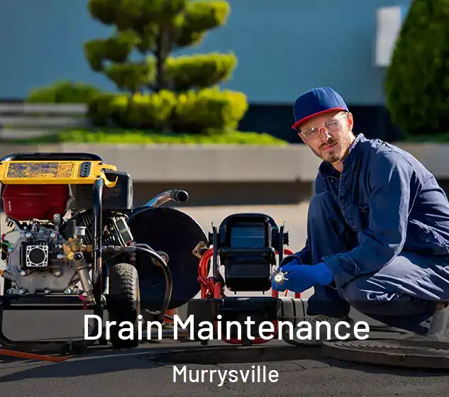  Drain Maintenance Murrysville