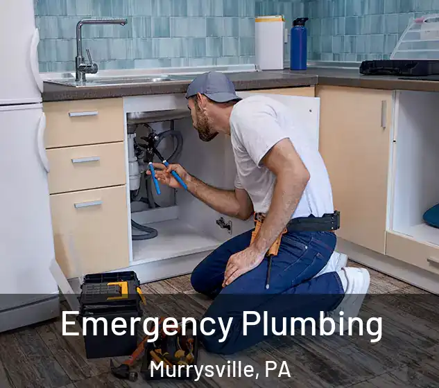  Emergency Plumbing Murrysville, PA