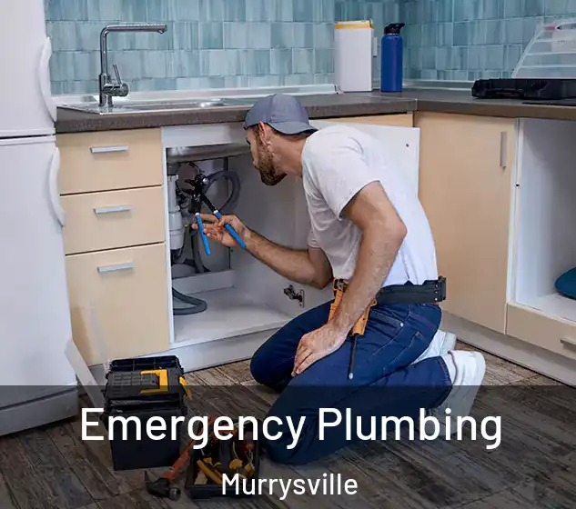  Emergency Plumbing Murrysville
