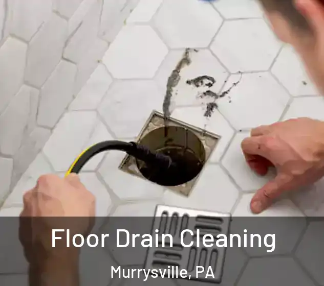  Floor Drain Cleaning Murrysville, PA