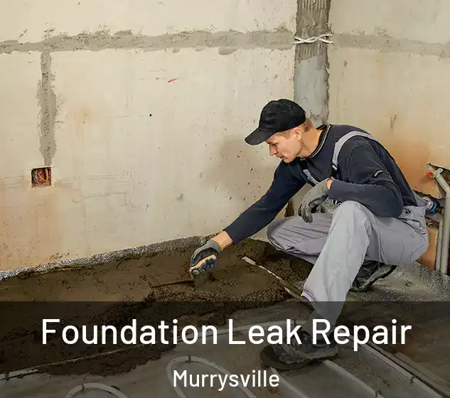 Foundation Leak Repair Murrysville
