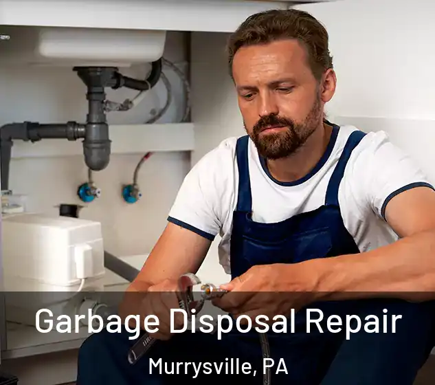  Garbage Disposal Repair Murrysville, PA