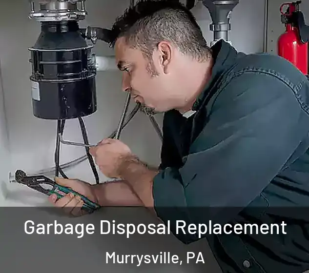  Garbage Disposal Replacement Murrysville, PA