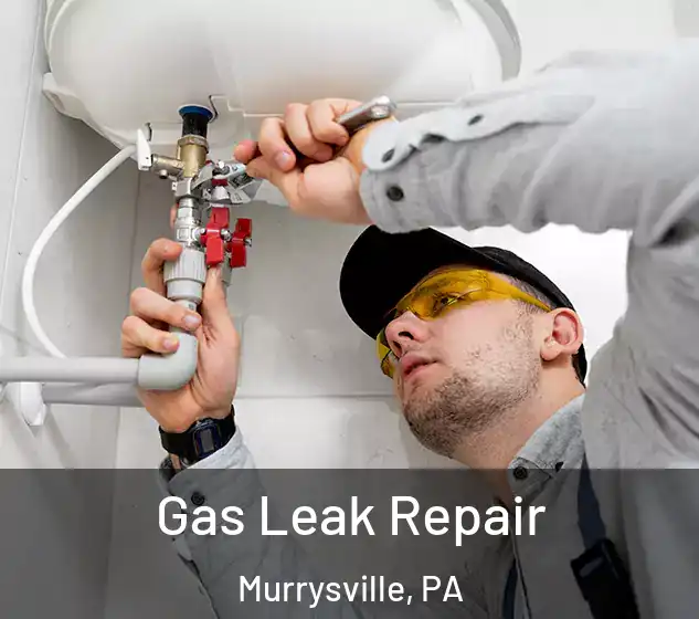  Gas Leak Repair Murrysville, PA