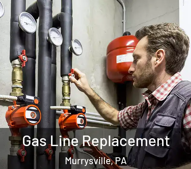  Gas Line Replacement Murrysville, PA
