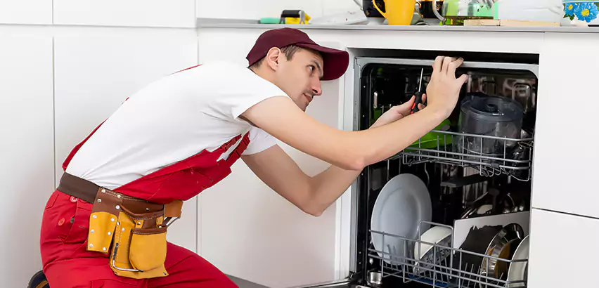 Scope of Kitchen Dishwasher Installation Services in Murrysville, PA