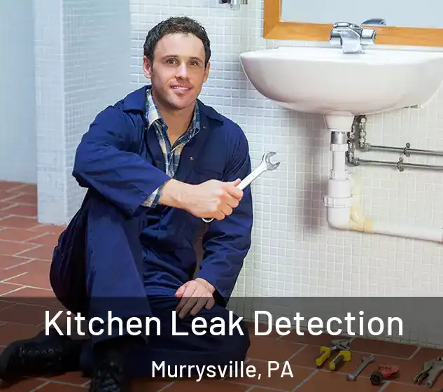  Kitchen Leak Detection Murrysville, PA