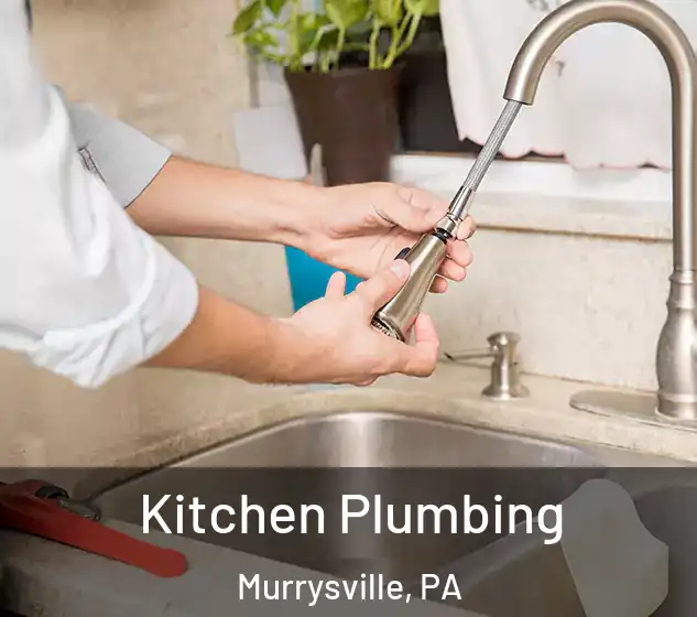  Kitchen Plumbing Murrysville, PA