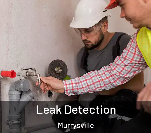  Leak Detection Murrysville