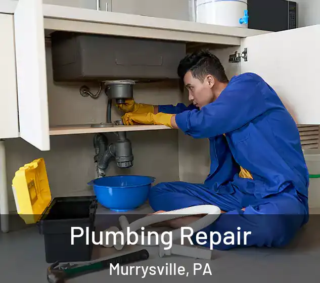  Plumbing Repair Murrysville, PA