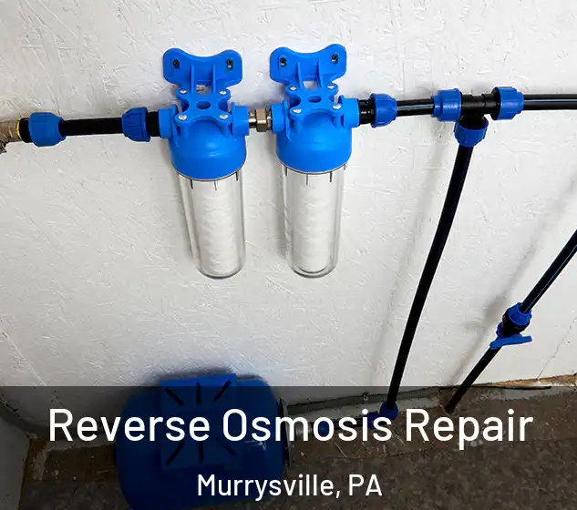  Reverse Osmosis Repair Murrysville, PA