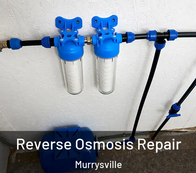 Reverse Osmosis Repair Murrysville