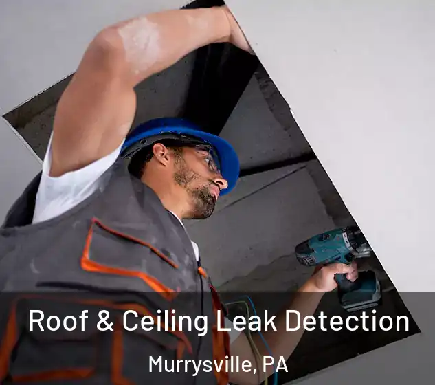  Roof & Ceiling Leak Detection Murrysville, PA