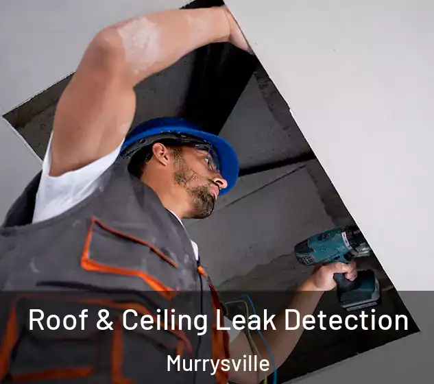  Roof & Ceiling Leak Detection Murrysville