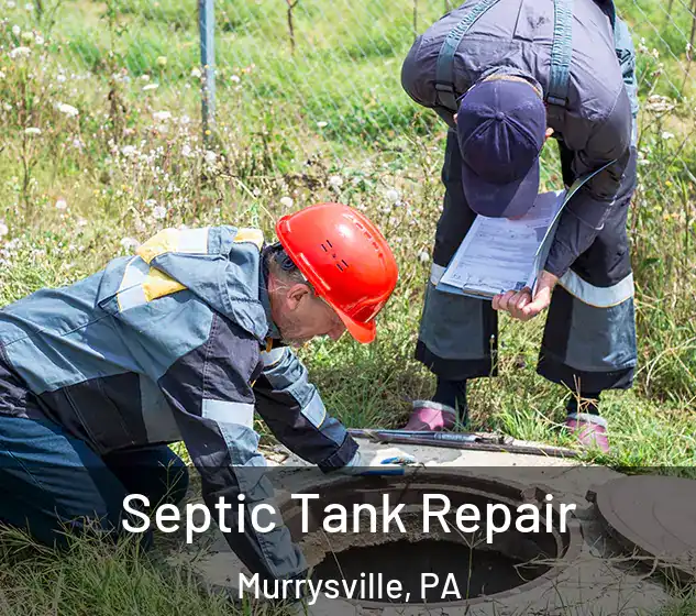  Septic Tank Repair Murrysville, PA