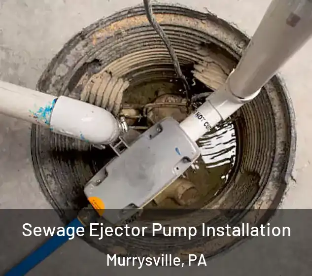  Sewage Ejector Pump Installation Murrysville, PA