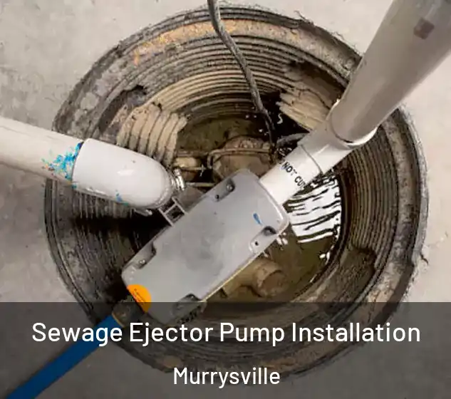  Sewage Ejector Pump Installation Murrysville