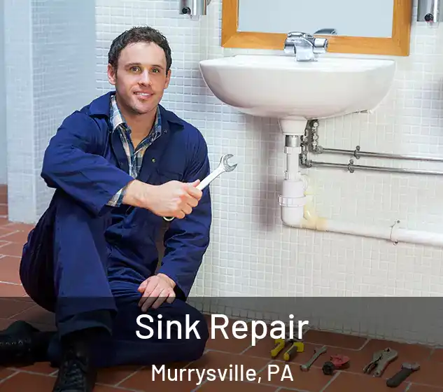  Sink Repair Murrysville, PA