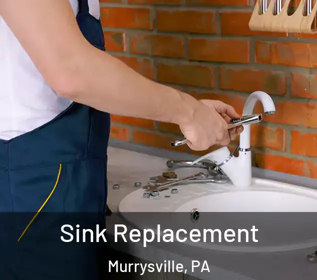  Sink Replacement Murrysville, PA