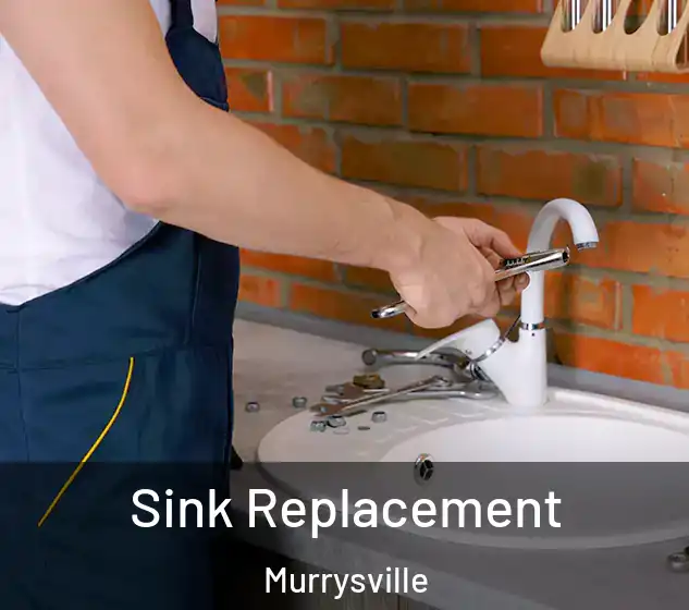  Sink Replacement Murrysville