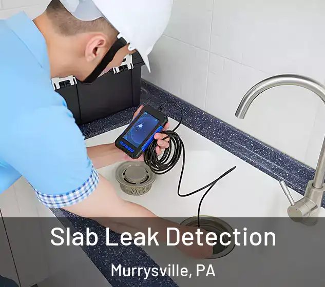  Slab Leak Detection Murrysville, PA