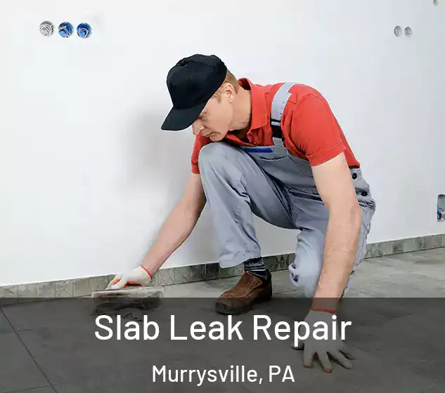  Slab Leak Repair Murrysville, PA