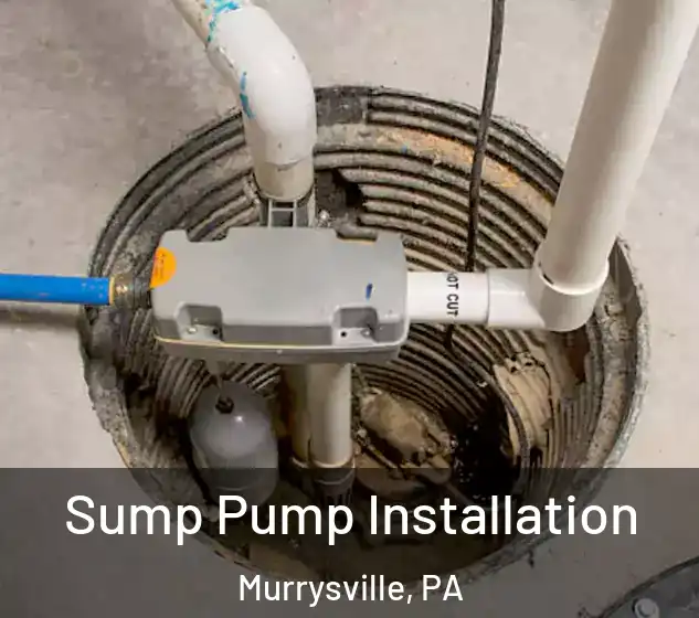  Sump Pump Installation Murrysville, PA