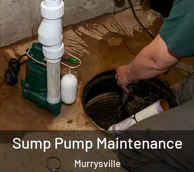  Sump Pump Maintenance Murrysville