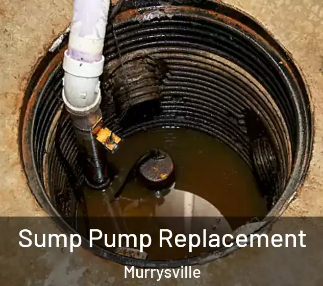  Sump Pump Replacement Murrysville