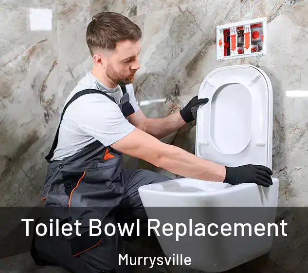  Toilet Bowl Replacement Murrysville