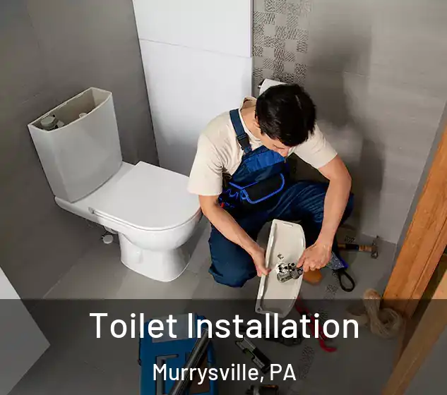  Toilet Installation Murrysville, PA