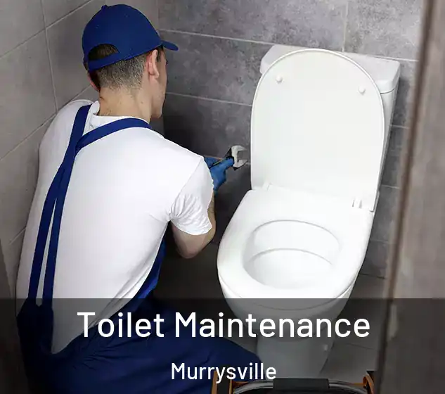  Toilet Maintenance Murrysville