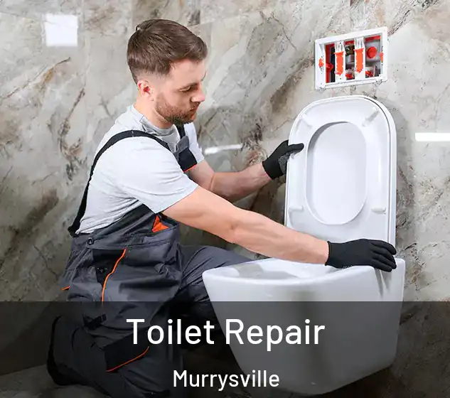  Toilet Repair Murrysville
