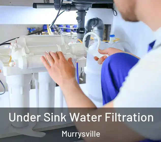  Under Sink Water Filtration Murrysville