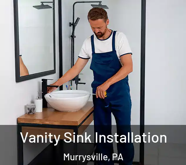  Vanity Sink Installation Murrysville, PA