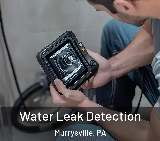  Water Leak Detection Murrysville, PA