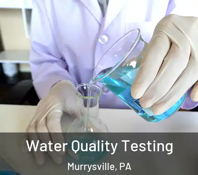  Water Quality Testing Murrysville, PA