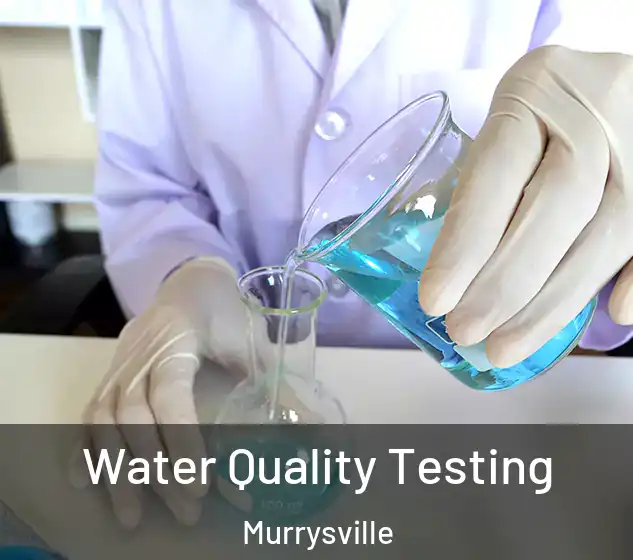  Water Quality Testing Murrysville