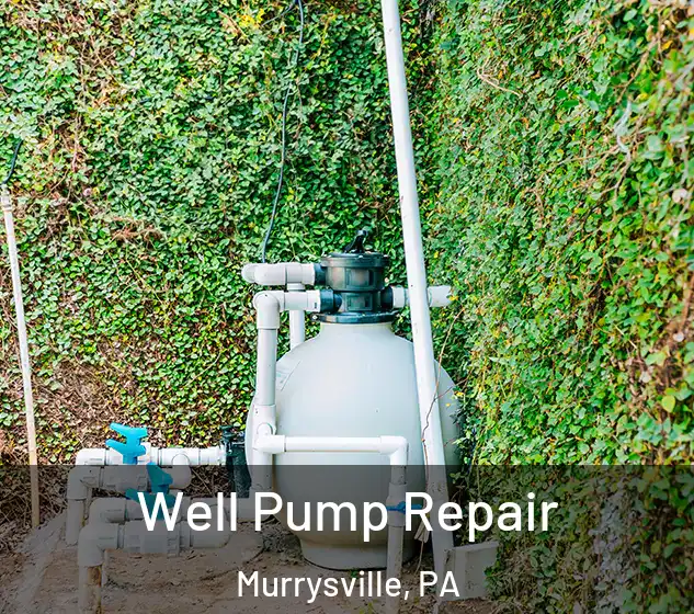  Well Pump Repair Murrysville, PA