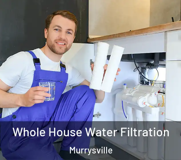  Whole House Water Filtration Murrysville